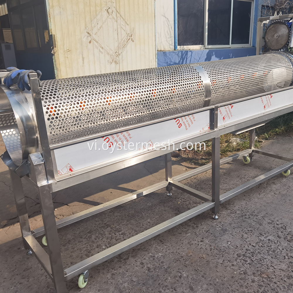 Oyster Sorting Tumbler Grading